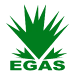 Egas
